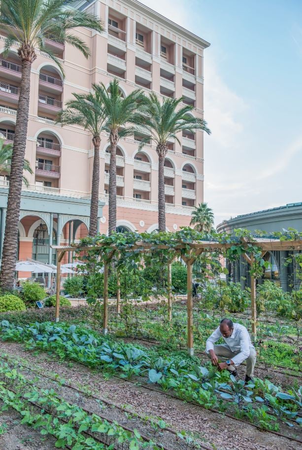 Jardin potager Monte-Carlo Bay Hotel and Resort