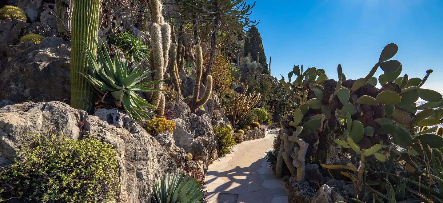Jardin Exotique 2026 - ©Gaëtan Luci