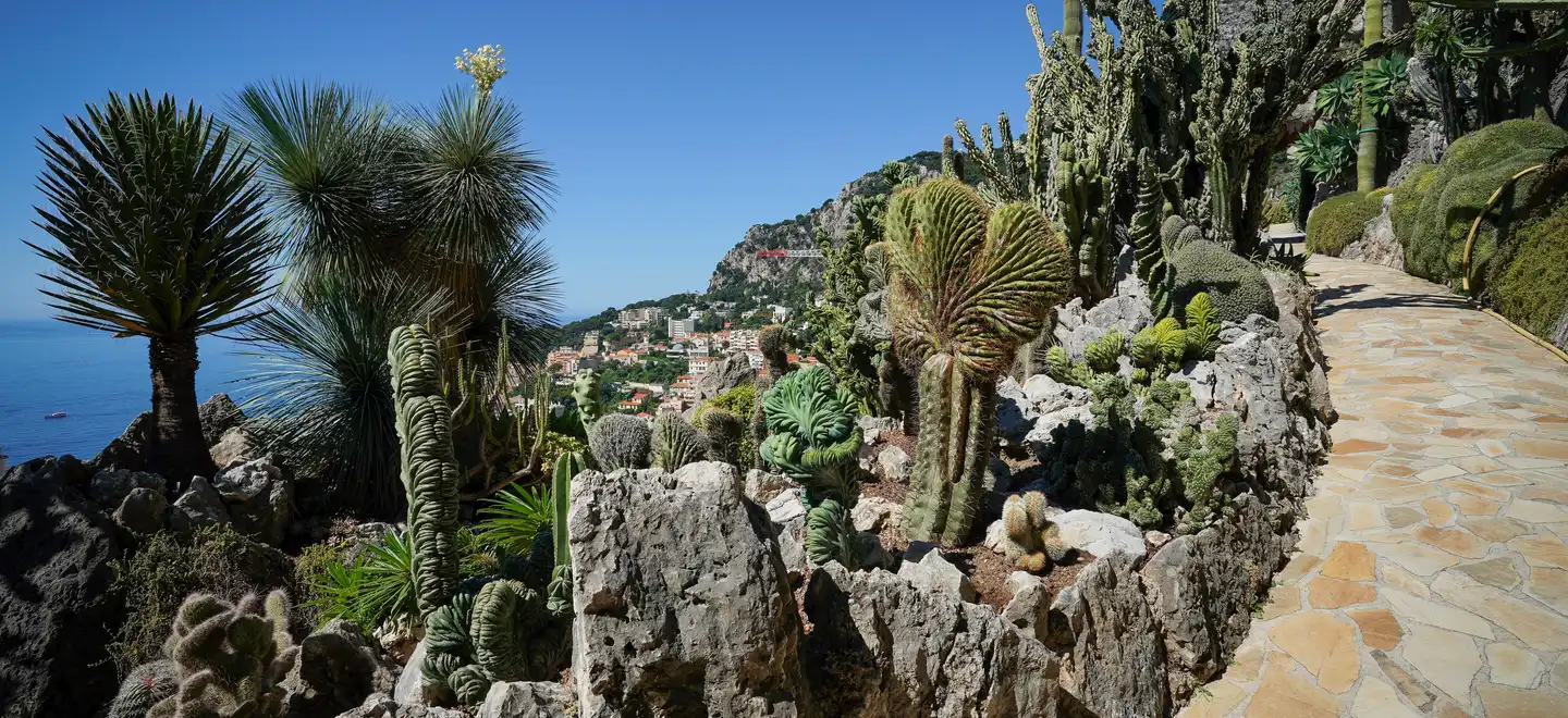 Jardin exotique Monaco