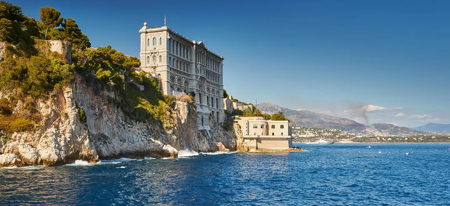 Dauphins & baleines Mer Monaco - La faune du Sanctuaire Pelagos