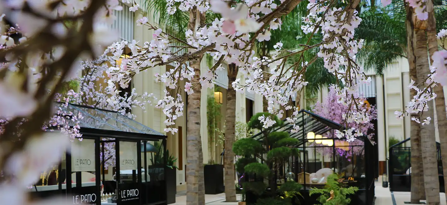 Hôtel de Paris - Patio - Cherry Blossom - 2021