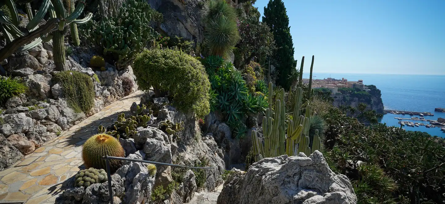 jardin-exotique-de-monaco-2024-001