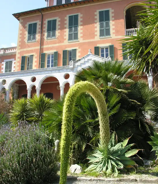 Jardin Hanbury ©GHB Daniela Guglielmi