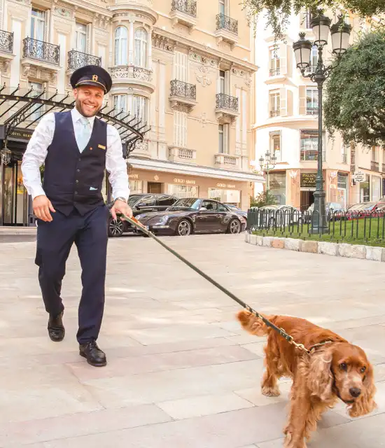 Hôtel Hermitage Monte-Carlo - chien