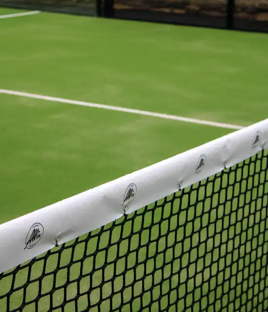 Jo-Wilfried Tsonga