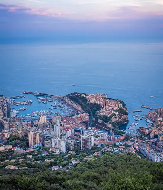 Vue Monaco