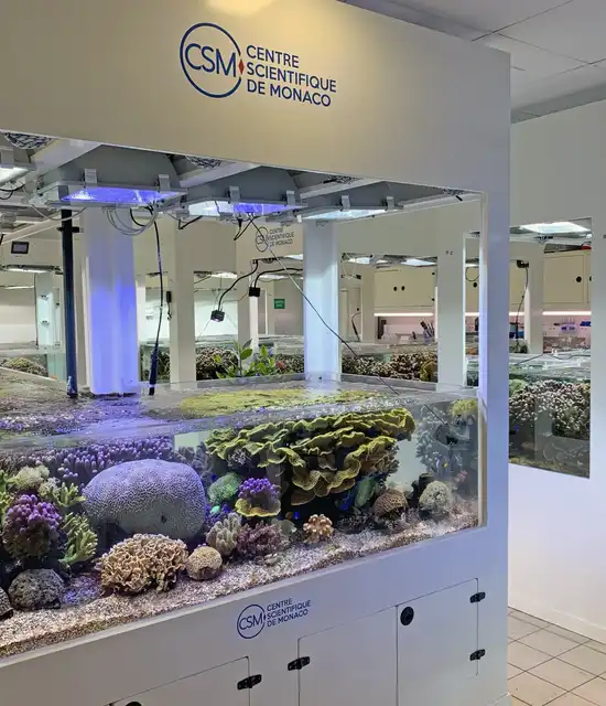 Centre Scientifique de Monaco coraux
