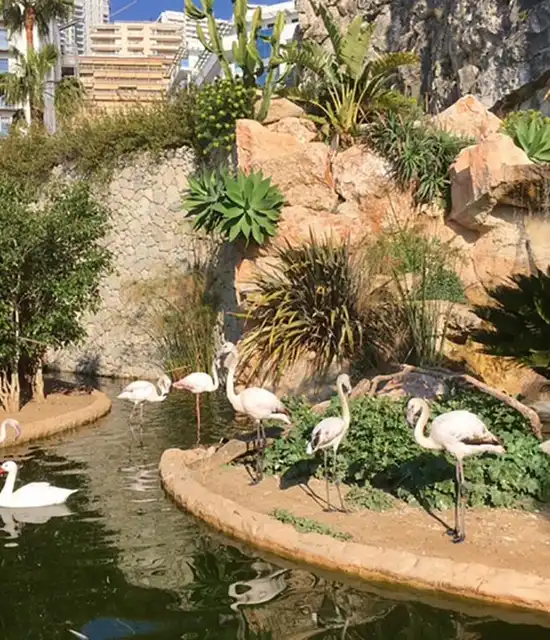 Jardin animalier Monaco