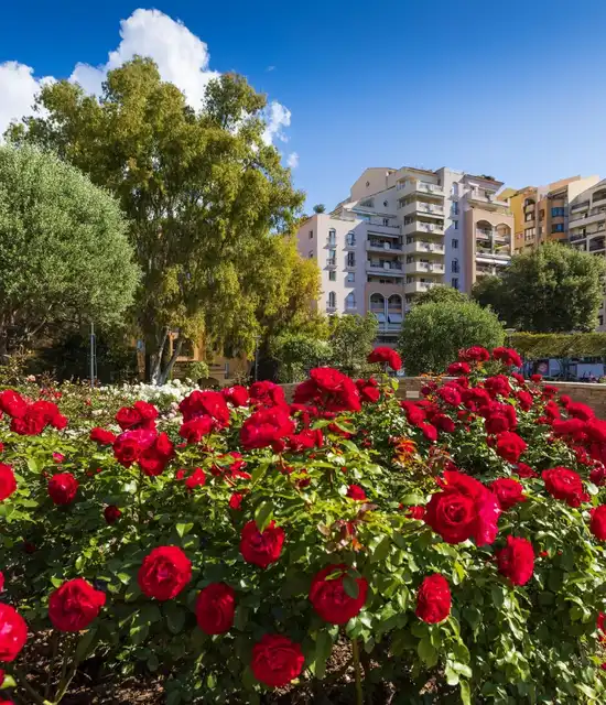 Les Jardins de Fontvieille à Monaco