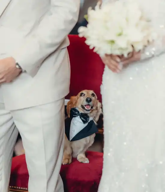 Mariage Charles Alexandra Leclerc Monaco