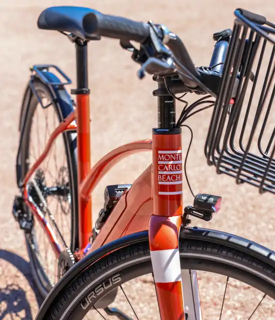 Vélos Electriques Stajvelo