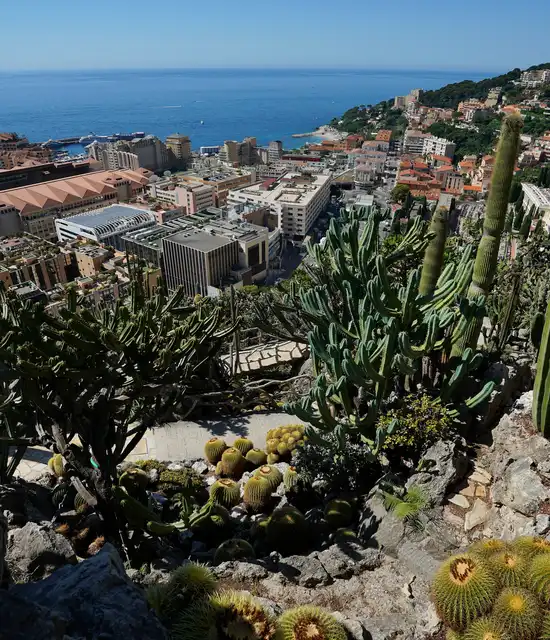 jardin-exotique-de-monaco-2024-006