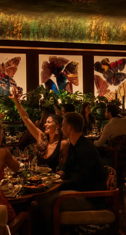 Amazonico Monte-Carlo lounge festif