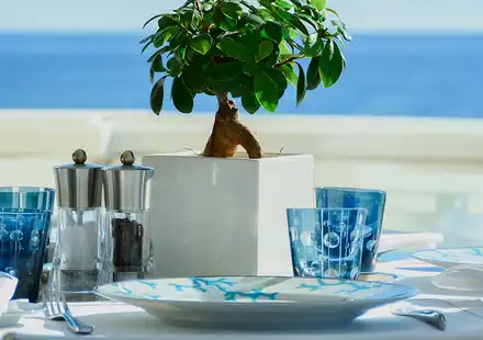 loyalty-programme-restauration-hirondelle-my-monte-carlo-resort