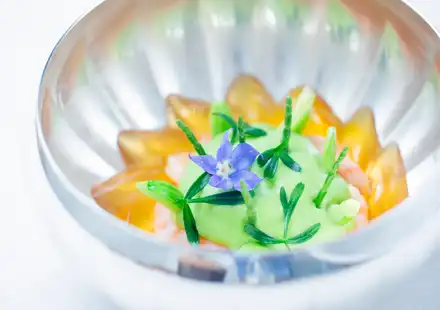 Hôtel de Paris - Restaurant Le Louis XV - Alain Ducasse