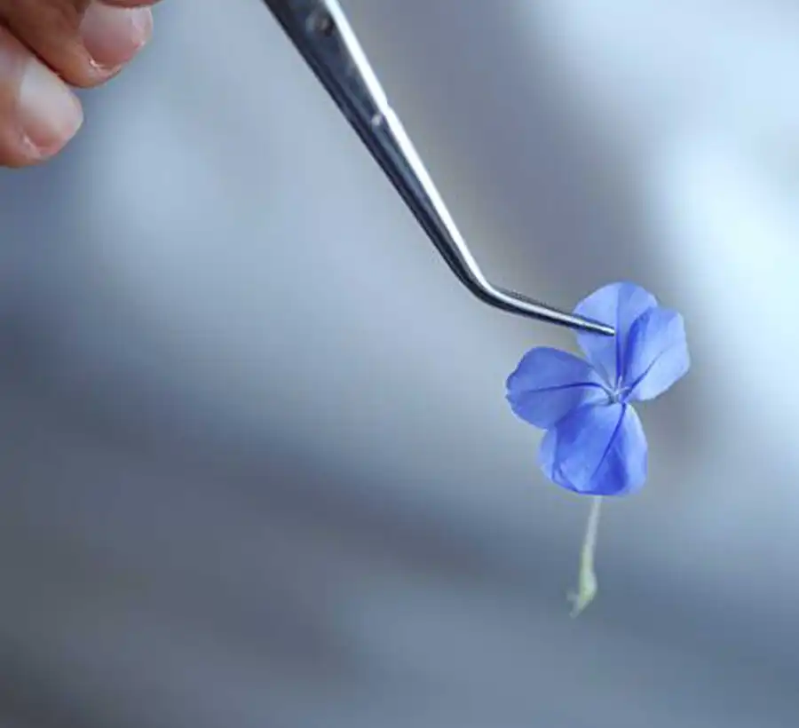 Pince Marcel Ravin Blue Bay Restaurant Monte-Carlo Bay Monaco