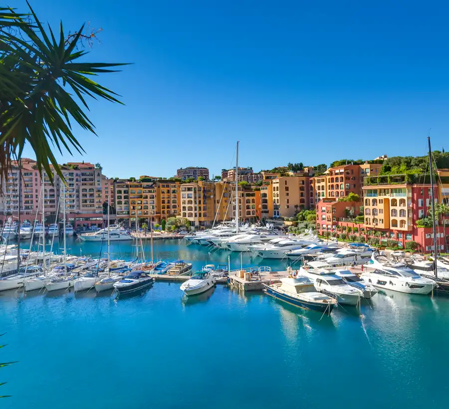 Vue Monaco