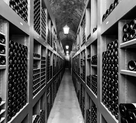 Hotel de Paris Monte-Carlo Les Caves à Vins