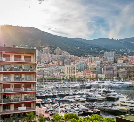 Vue Monaco