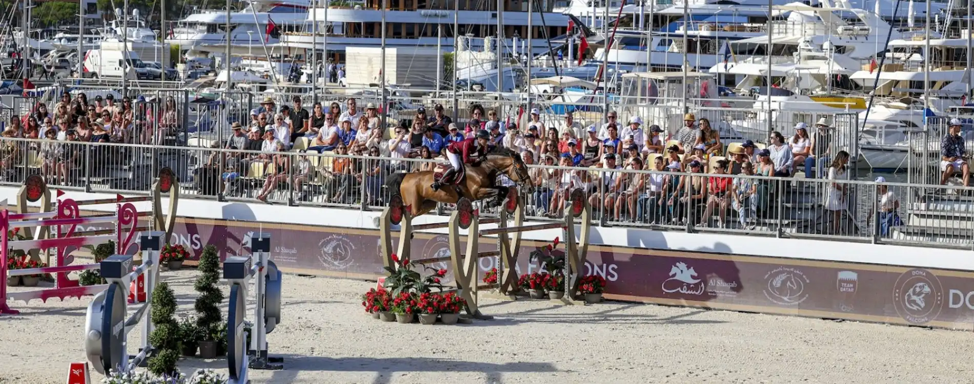 Show Jumping