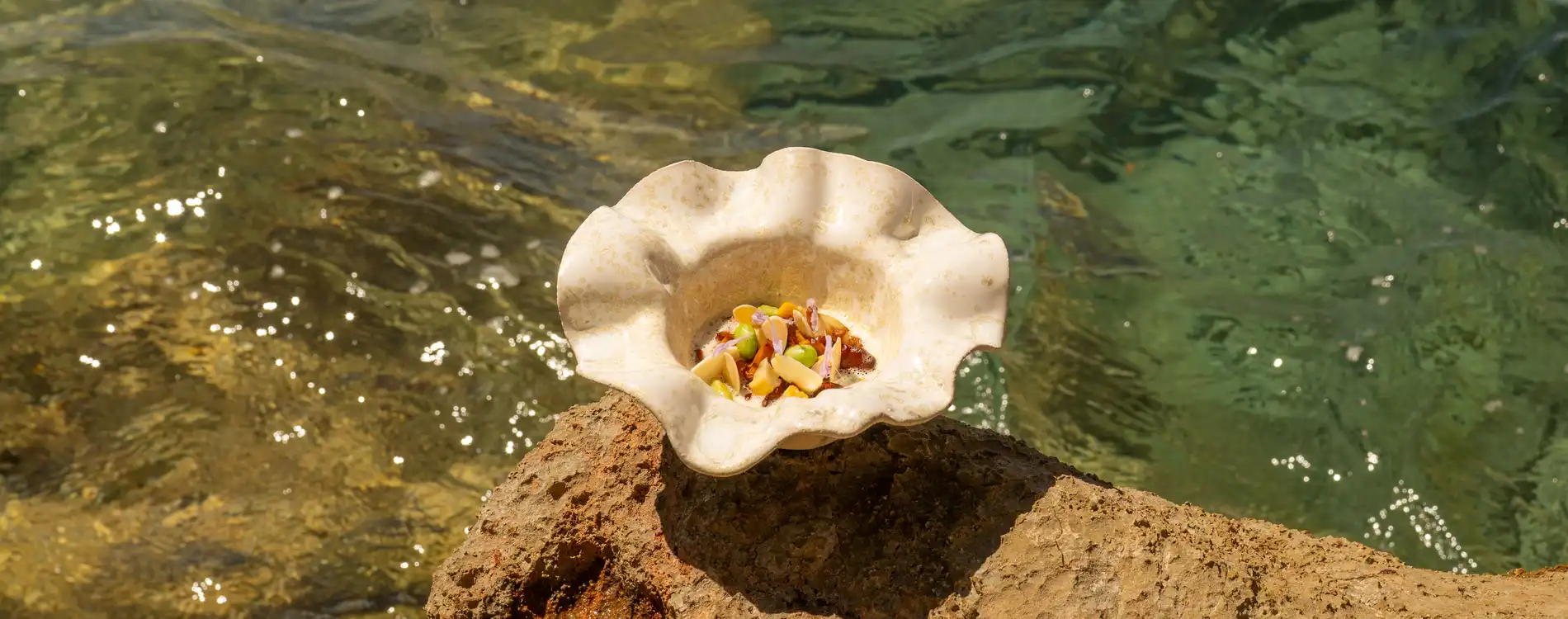 Elsa plat été 2025