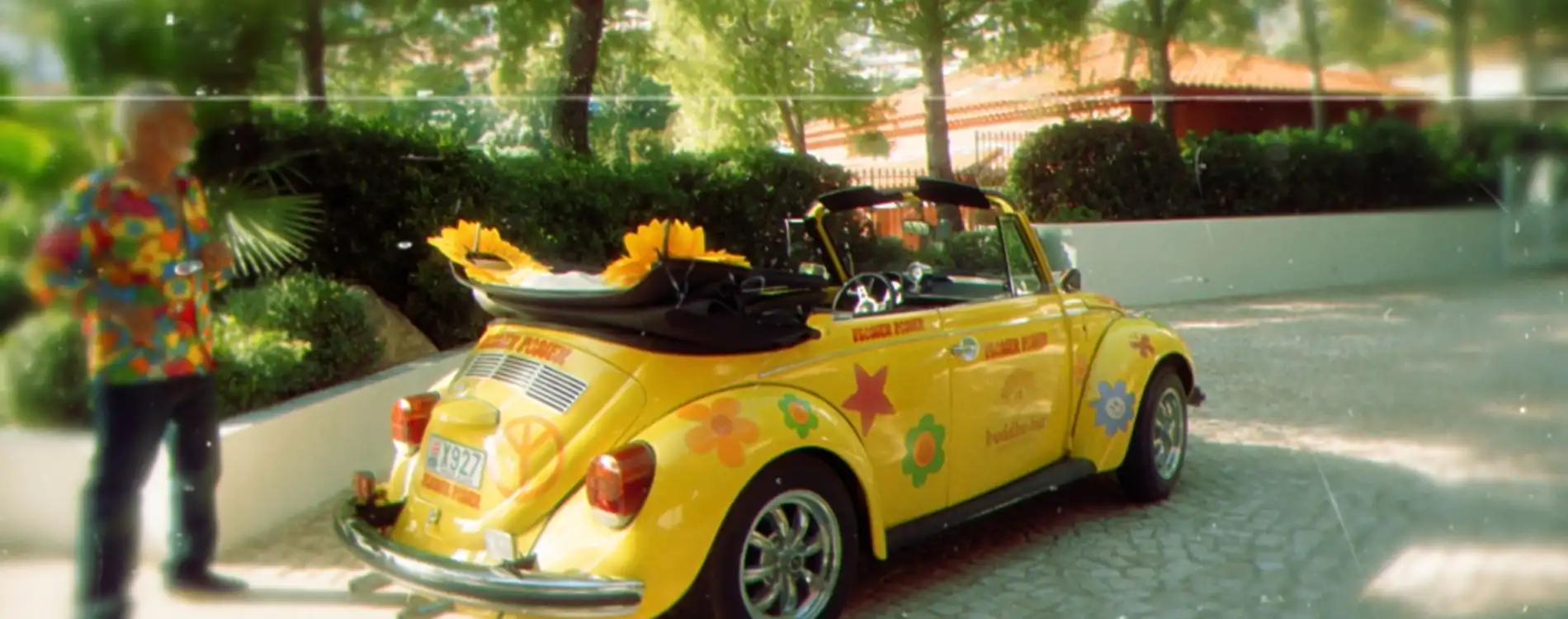 flower power - buddha bar - cox