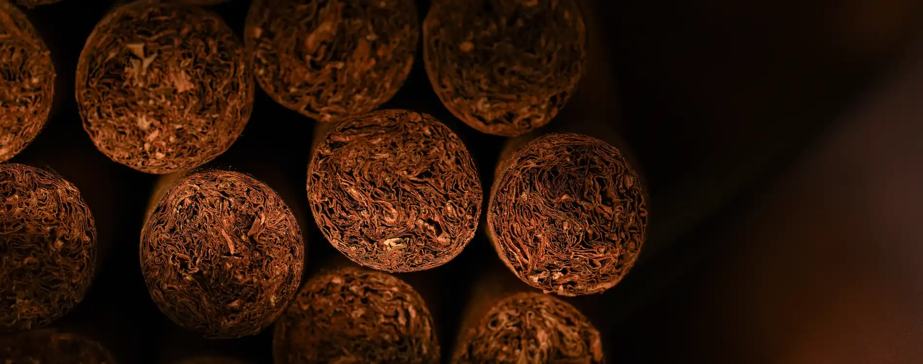 Monte-Carlo Cigar Club 