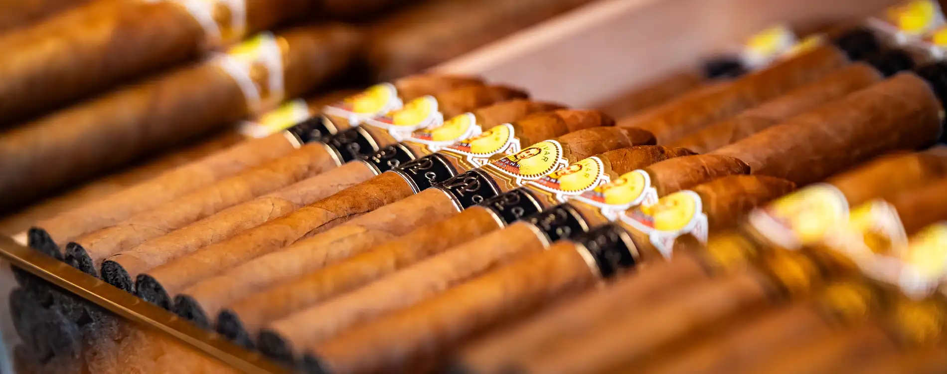 monte-carlo-cigar-club-cigares