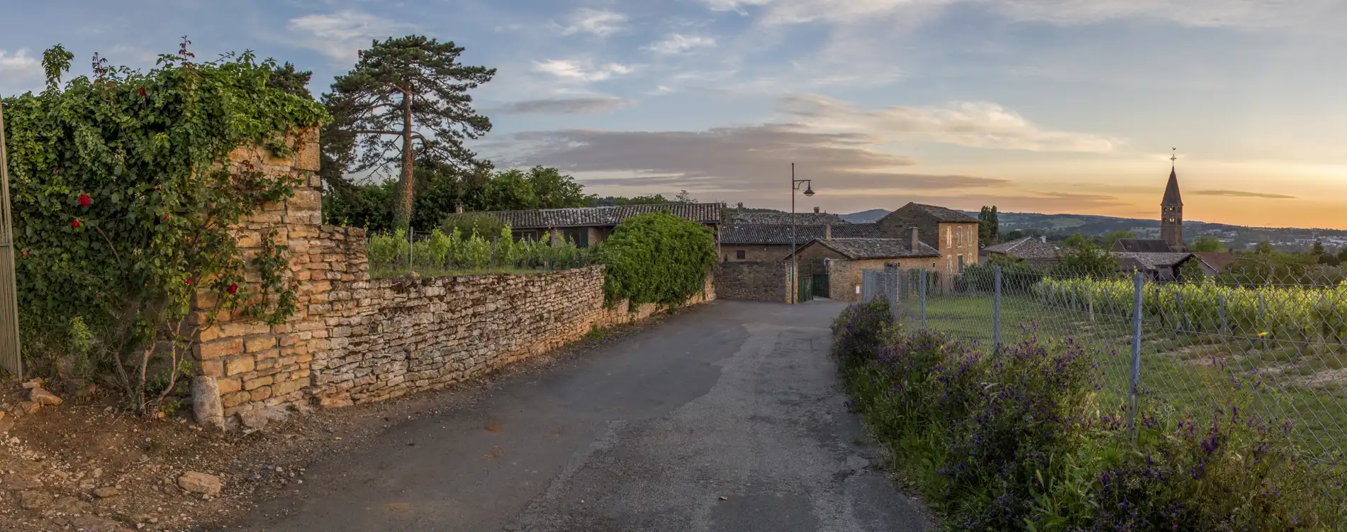 Domaine du Clos des Rocs