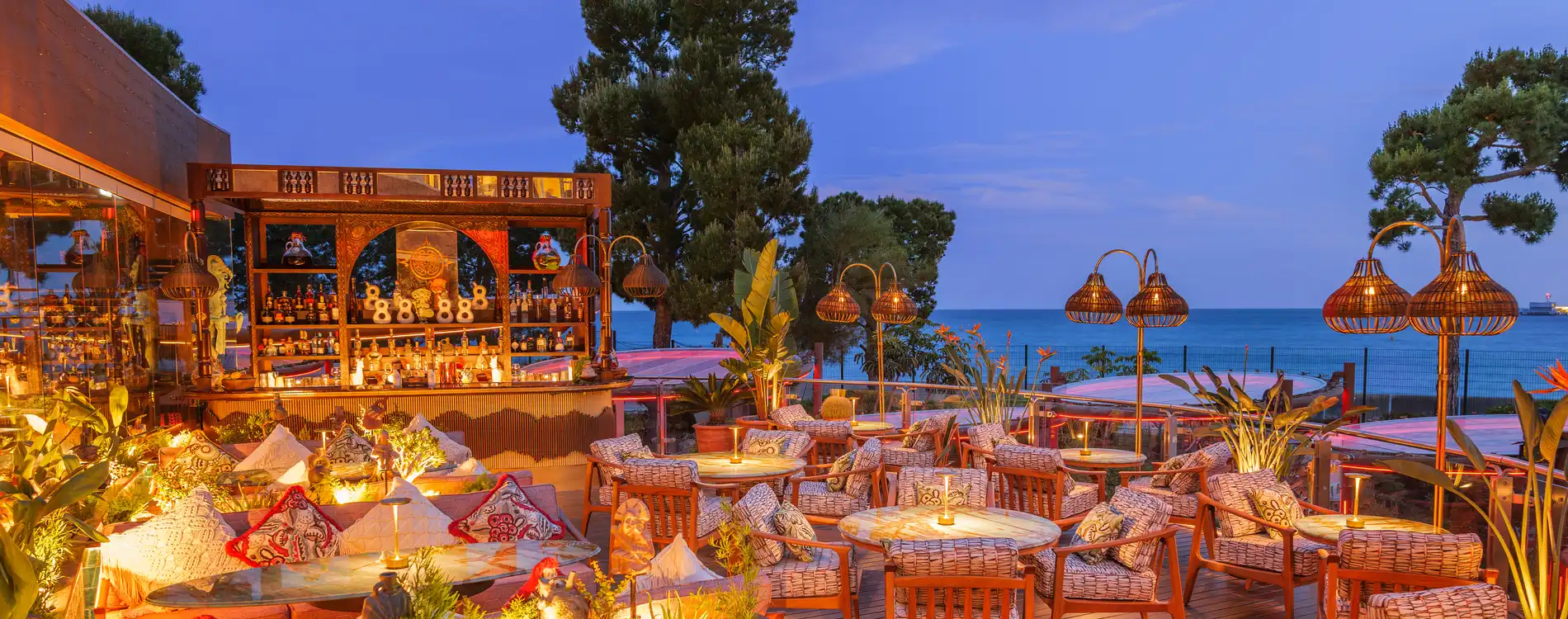 Coya Monte-Carlo