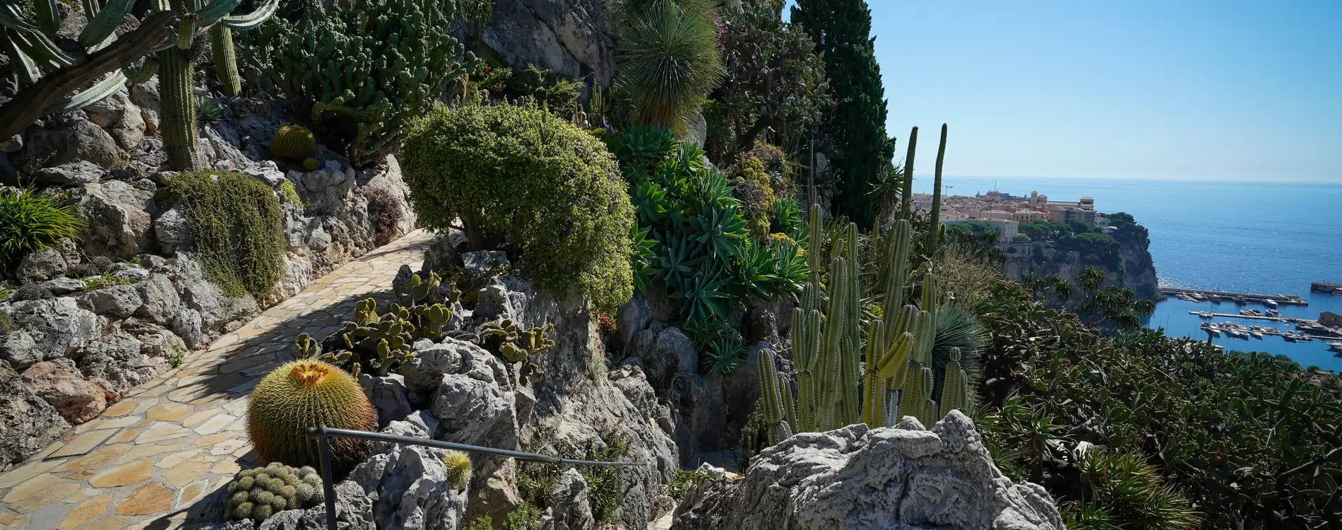 jardin-exotique-de-monaco-2024-001
