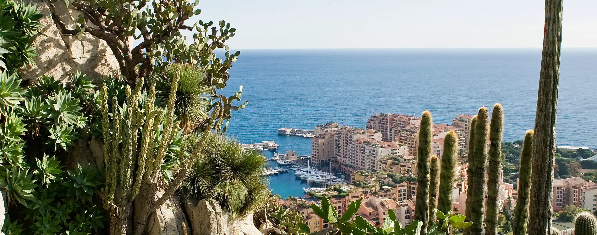 Les meilleurs endroits et activités de Monaco