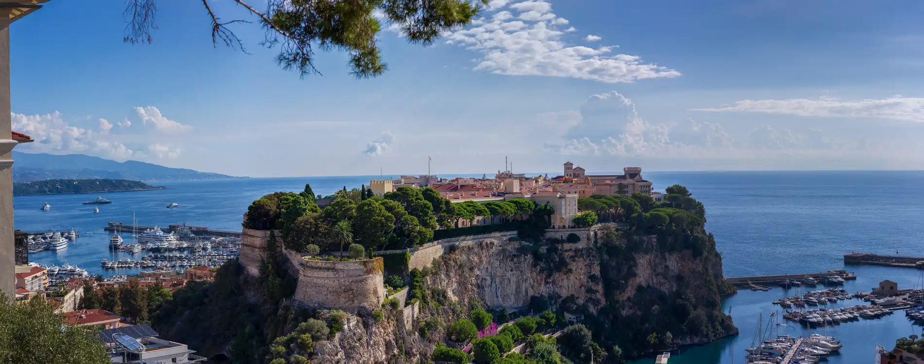 Monte-Carlo