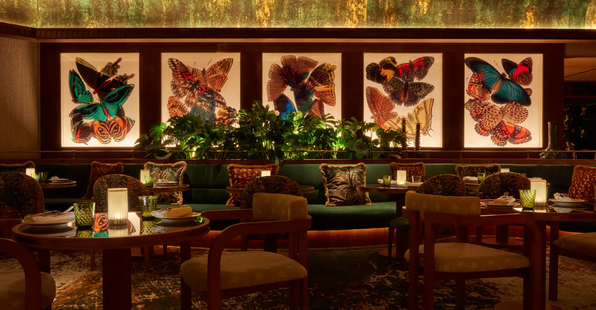 Amazonico Monte-Carlo