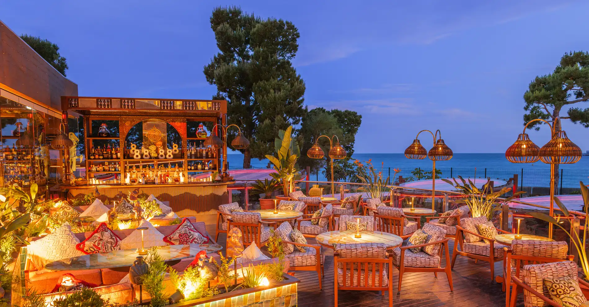 Coya Monte-Carlo