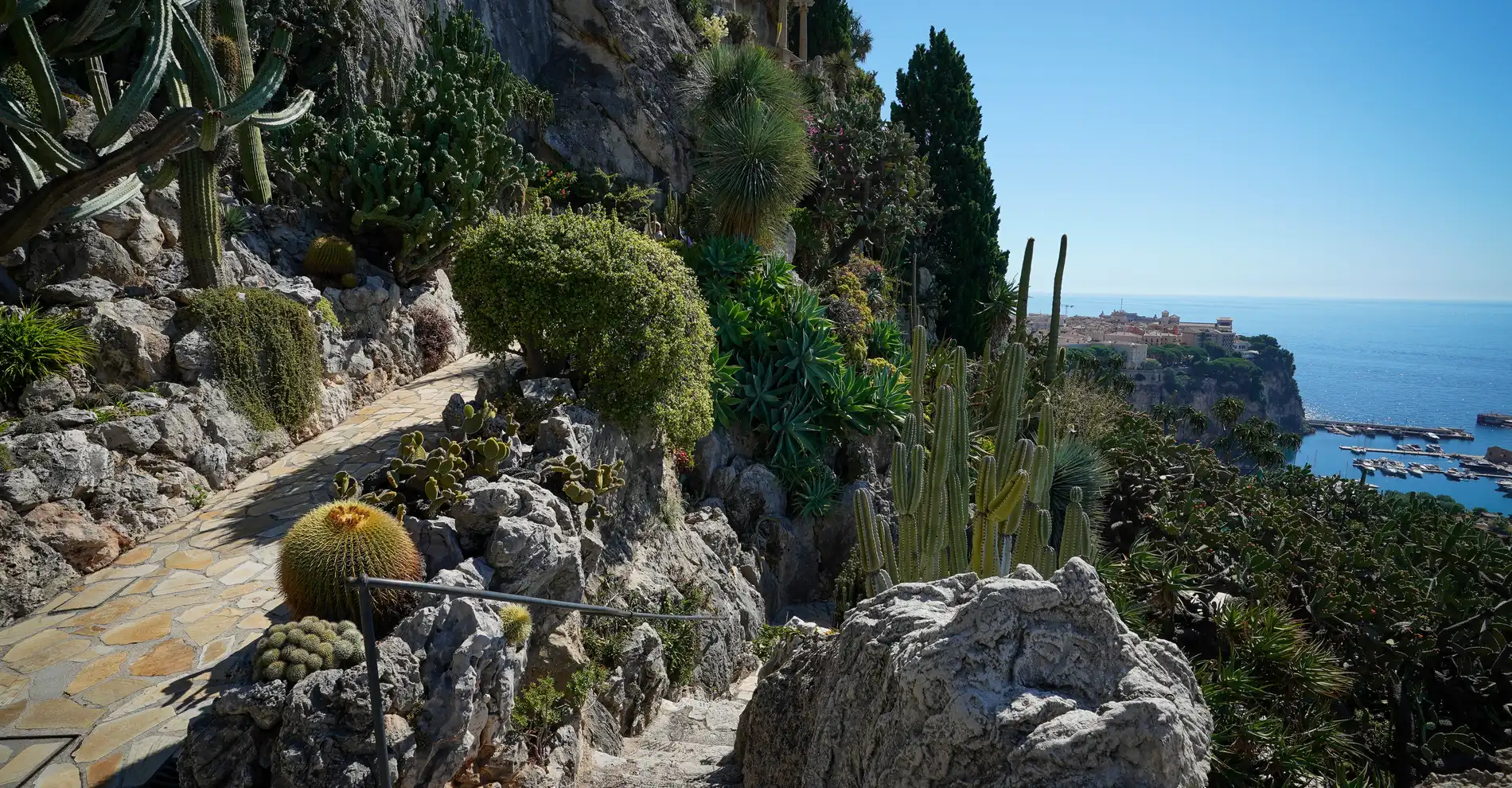 jardin-exotique-de-monaco-2024-001