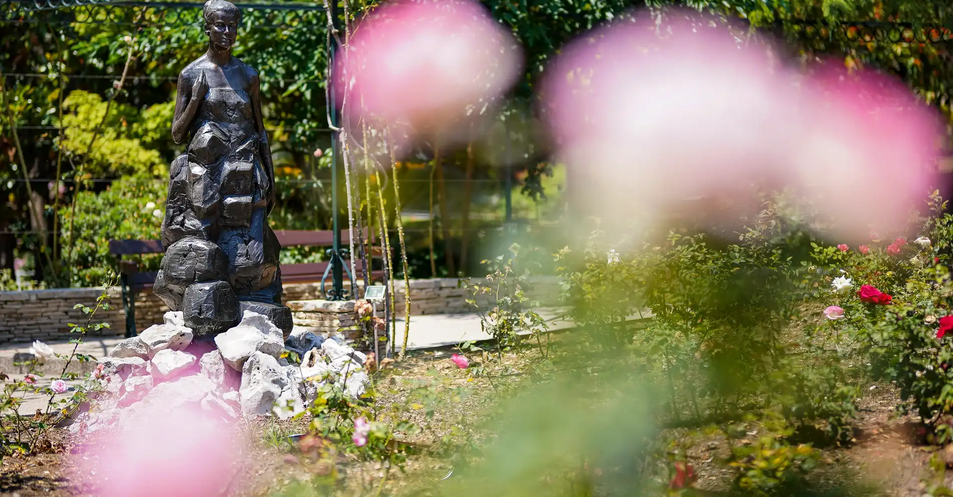 parc-paysager-la-roseraie-princesse-grasse-2024-002