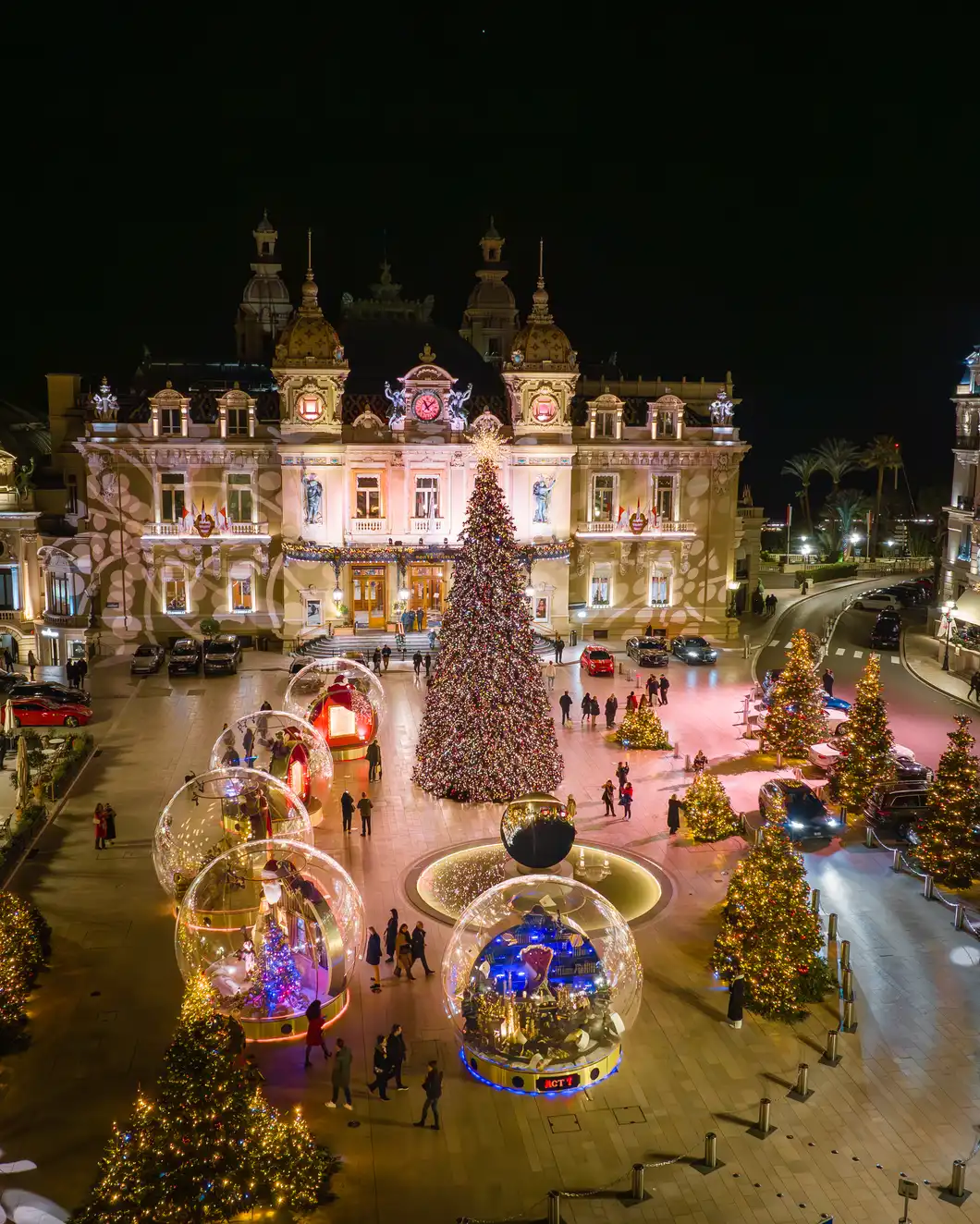 Lumières de fêtes  Decorating with christmas lights, Christmas lights,  Christmas inspiration