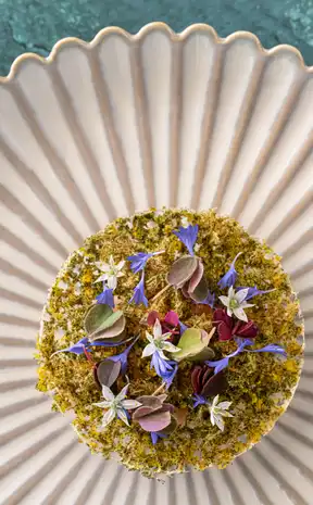 Monte-Carlo Bay Hotel & Resort - plat