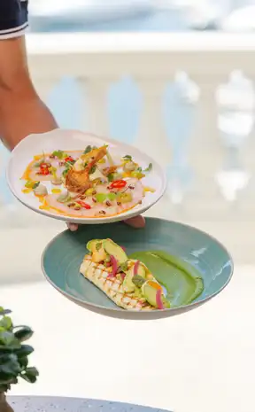 Thermes-Marins - plat