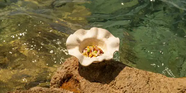 Elsa plat été 2025