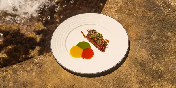 Elsa plat été 2025