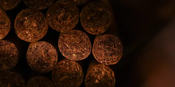 Monte-Carlo Cigar Club 