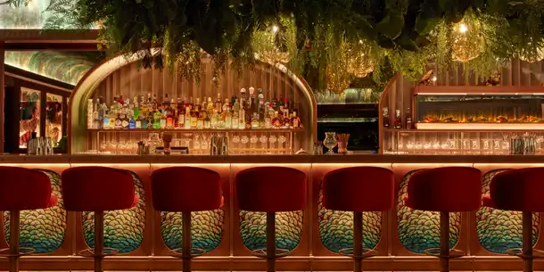 Amazonico-lounge