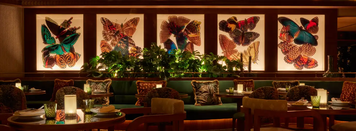 Amazónico Monte-Carlo intérieur