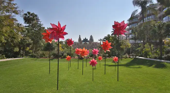 Ma Vie en Rose Monte-Carlo I Roses des Vents