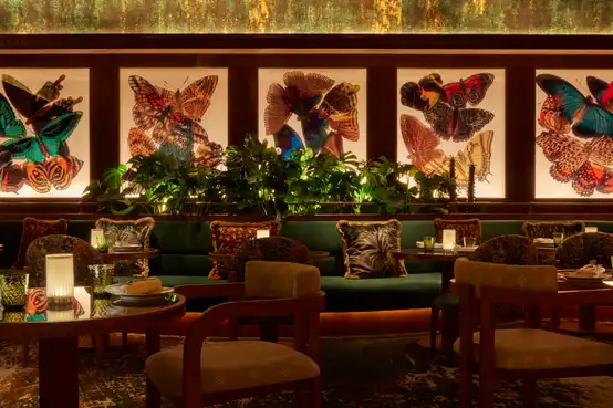 amazonico-monte-carlo